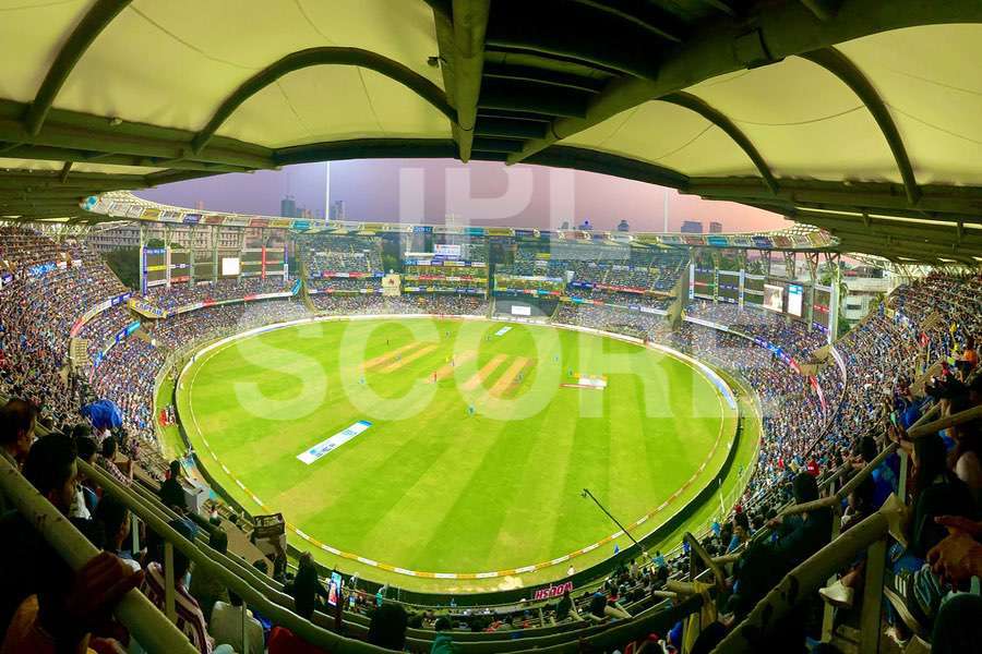 Cricket action