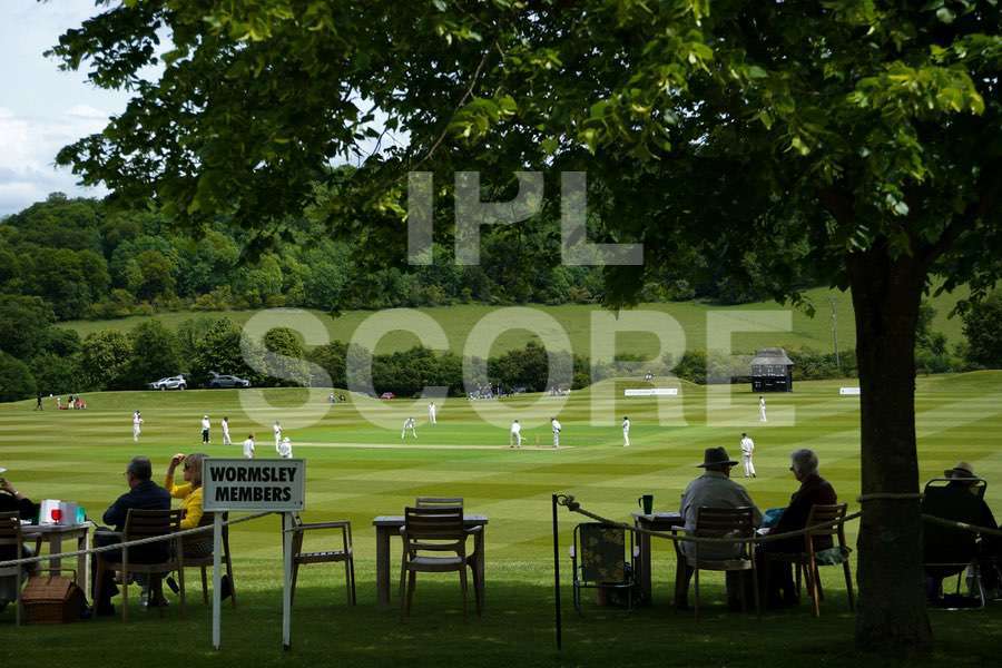 Cricket analysis