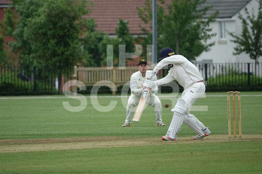 Cricket action