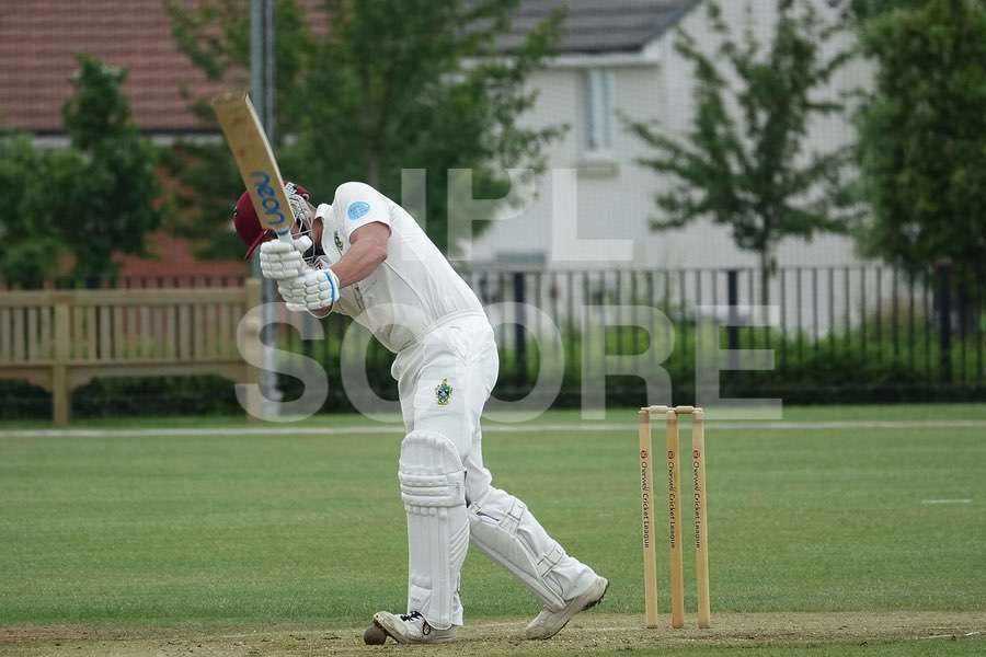 Cricket action