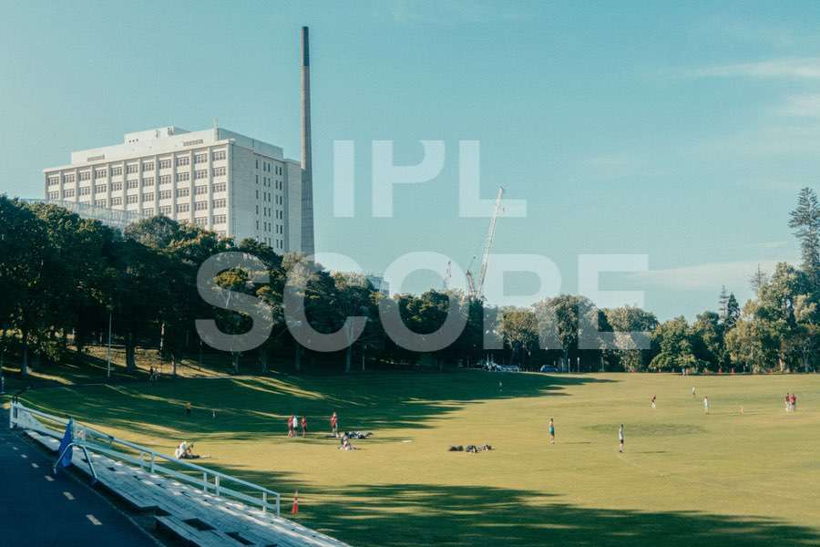 Cricket action